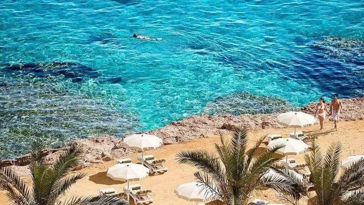 🌴Египет–шарм-Эль-Шейх Незабываемые Летние Каникулы!🌊 - view 2